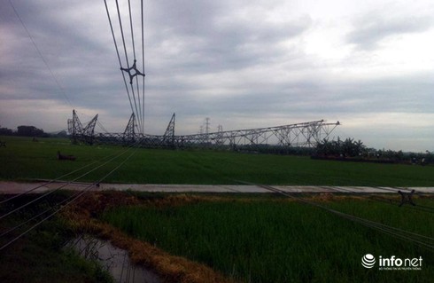 Mưa to giớ lớn, một cột điện 500kV đổ sập xuống ruộng lúa của người dân - ảnh 2