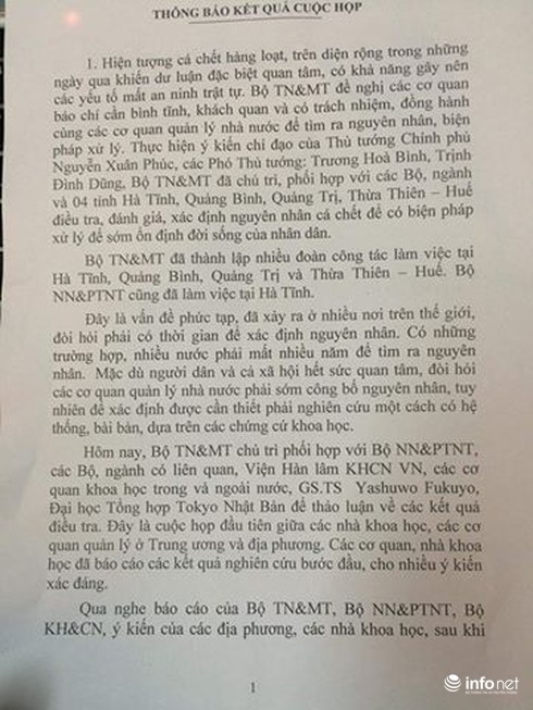Họp báo: Chưa có mối liên quan giữa Formosa với cá chết hàng loạt - ảnh 3