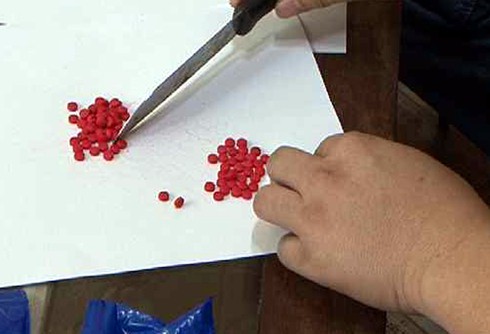 CSGT nhảy xuống ruộng khống chế đối tượng vận chuyển ma túy - ảnh 2