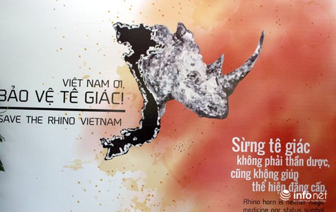 Paul Blackthorne tới Việt Nam bảo vệ tê giác - ảnh 1