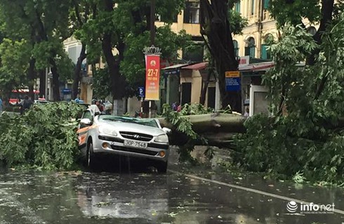 Thông tin lại vụ 1 người chết, nhiều người bị thương do mưa bão ở Hà Nội - ảnh 1