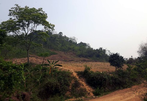 Nghi án cô gái bị hiếp, giết ném xác trong rừng - ảnh 2