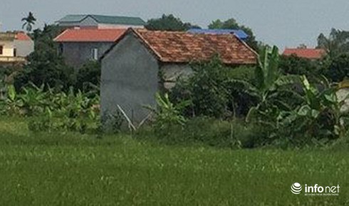 Hành trình phá vụ án kẻ giết nam thanh niên rồi cắt bộ phận sinh dục - ảnh 5