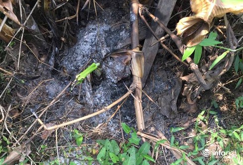 Hành trình phá vụ án kẻ giết nam thanh niên rồi cắt bộ phận sinh dục - ảnh 4