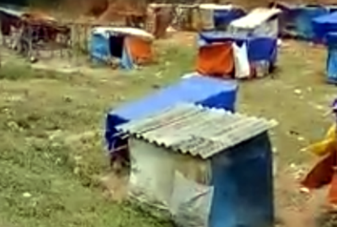 Clip dân chặn xe chở lợn qua biên giới “xin” tiền: Do không được thuê bốc vác? - ảnh 2