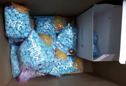 Bắt giữ nhóm hành khách vận chuyển ma túy trong quả thanh long - ảnh 2