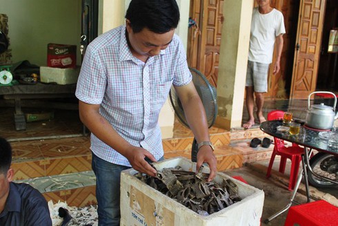 Mốt chơi dó trầm bạc tỷ gây sốt nhà giàu - ảnh 3