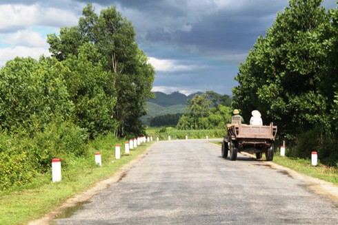 Hà Tĩnh: Công nông công khai vận chuyển gỗ lậu - ảnh 2