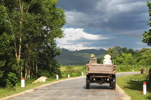 Hà Tĩnh: Công nông công khai vận chuyển gỗ lậu - ảnh 1