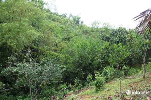 Gần 40 hộ dân