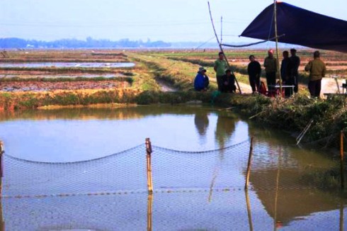 Rơi xuống hồ cá, hai cháu bé 3 tuổi tử vong - ảnh 1
