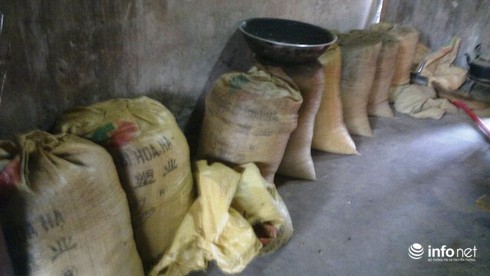 Hô biến bột ngô, mật ong thành thuốc chữa bệnh thần kinh - ảnh 1