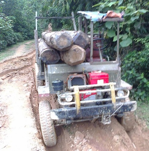 Để lâm tặc ngang nhiên chuyển gỗ, 6 cán bộ kiểm lâm bị kỷ luật - ảnh 1