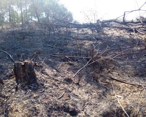 Hà Tĩnh: Dập tắt đám cháy rừng, phát hiện thi thể một người đàn ông - ảnh 1