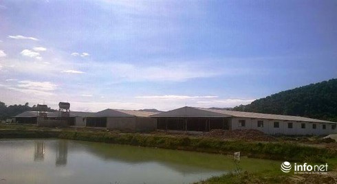 Dân khốn khổ mùi thối trại lợn mới xây dựng - ảnh 2