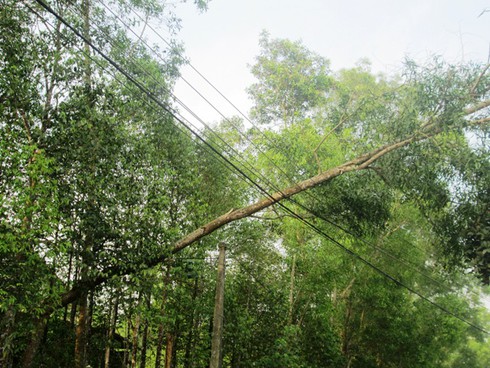Hà Tĩnh: Lốc xoáy làm tốc mái gần 300 ngôi nhà - ảnh 2