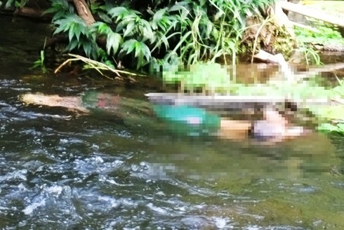 Truy tìm hung thủ sát hại 4 người trong một gia đình - ảnh 2