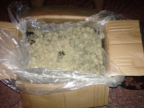 Hà Tĩnh: Bắt giữ 1,4 tấn thuốc đông y không rõ nguồn gốc - ảnh 1