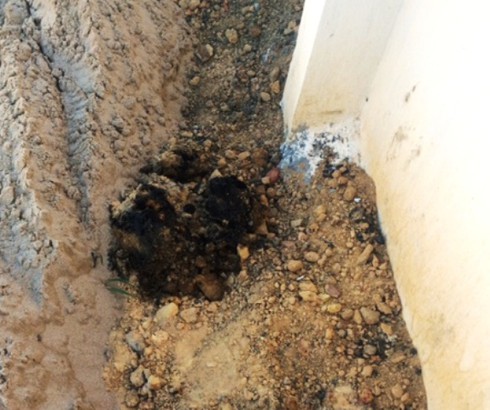 Phát hiện thêm 10 tấn bùn đen của Formosa chôn lấp tại công viên - ảnh 1