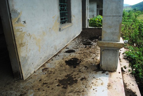 Dự án tái định cư dân vạn đò thành bãi chăn bò - ảnh 2