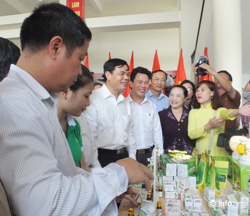 Hà Tĩnh: Xây dựng NTM có nhiều cách làm hay, sáng tạo - ảnh 1