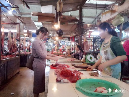 Hà Tĩnh: Đi tìm