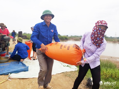 Hà Tĩnh: Đoàn thanh niên ra quân giúp dân gặt lúa