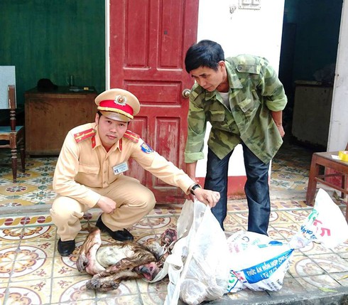 Nghệ An: Phát hiện 4 cá thể khỉ trong... bao tải - ảnh 1