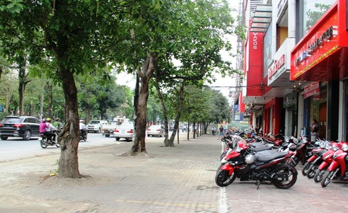 Nghệ An: Vỉa hè TP Vinh như thế nào sau 4 ngày ra quân giải tỏa? - ảnh 3