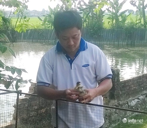 Thạc sỹ nuôi vịt Cổ Lũng kiếm gần 300 triệu mỗi năm - ảnh 2
