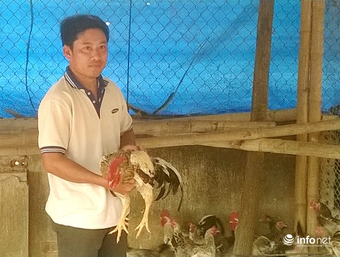 Thạc sỹ nuôi vịt Cổ Lũng kiếm gần 300 triệu mỗi năm - ảnh 6