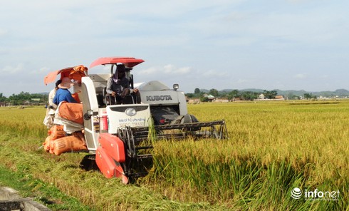Nghệ An: Chưa đến mùa gặt, nhiều HTX đã “rục rịch” thu tiền của chủ máy - ảnh 7