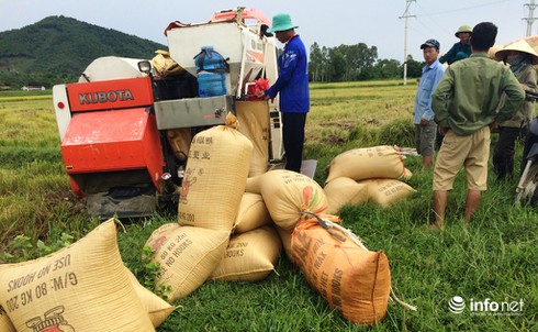 Nghệ An: Chưa đến mùa gặt, nhiều HTX đã “rục rịch” thu tiền của chủ máy - ảnh 1