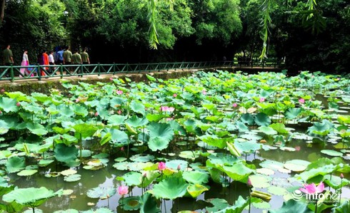 Khai mạc Lễ hội Làng Sen năm 2017 - ảnh 2