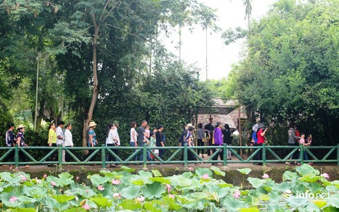 Hàng ngàn du khách đội mưa về thăm quê Bác - ảnh 7