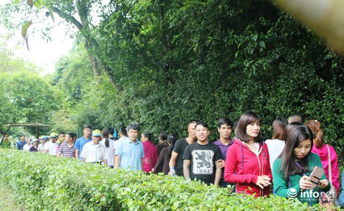 Hàng ngàn du khách đội mưa về thăm quê Bác - ảnh 5