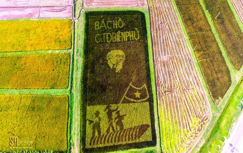 Bức tranh độc đáo về Bác Hồ và Chiến thắng Điện Biên Phủ trên cánh đồng lúa - ảnh 1