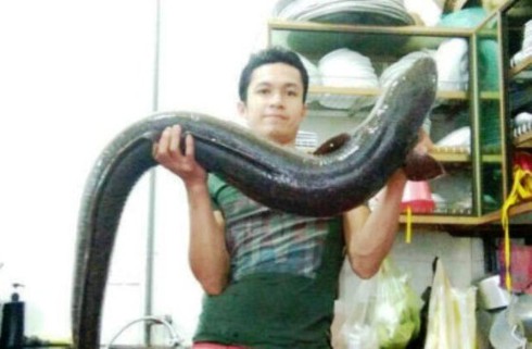 Nghệ An: Câu được cá lệch