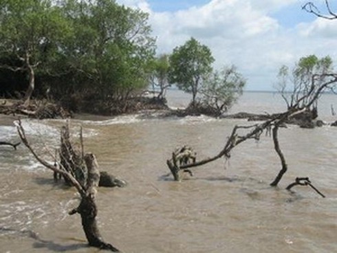 Hơn 77.000 ca tử vong mỗi năm do biến đổi khí hậu - ảnh 1