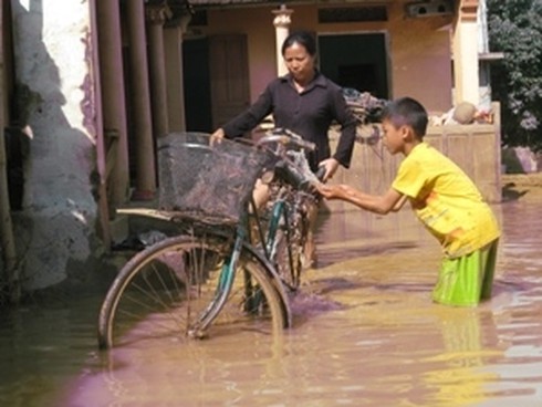 Nâng cao năng lực của phụ nữ ứng phó với thiên tai - ảnh 1