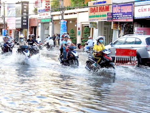 TP.HCM chủ động ứng phó với triều cường lên cao - ảnh 1