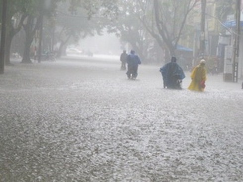 Tổ chức Bắc Âu hỗ trợ Huế giảm biến đổi khí hậu - ảnh 1