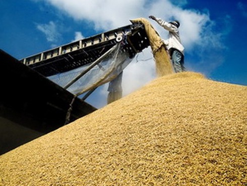 TP.HCM: Sôi nổi các hoạt động quảng bá hàng Việt - ảnh 1