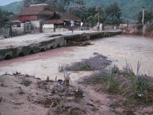 TP HCM ứng phó triều cường vượt mức báo động 3 - ảnh 1