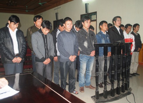 Hà Tĩnh: 15 đối tượng phá rừng lĩnh án hơn 40 năm tù - ảnh 1