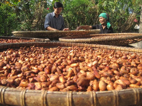 Xuất khẩu nông sản 3 tháng đạt 6,9 tỉ USD - ảnh 1