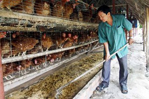Yêu cầu giảm lãi suất cho vay phục vụ chăn nuôi về 8% - ảnh 1
