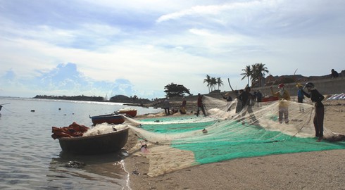 Nhiều chính sách hỗ trợ phát triển huyện đảo Lý Sơn - ảnh 1