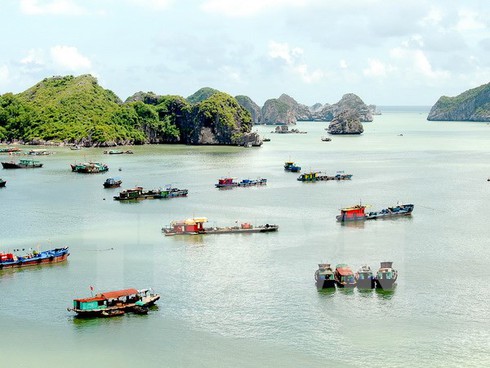 Hải Phòng: Du lịch biển đảo hút khách - ảnh 1
