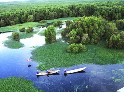 Tổ chức